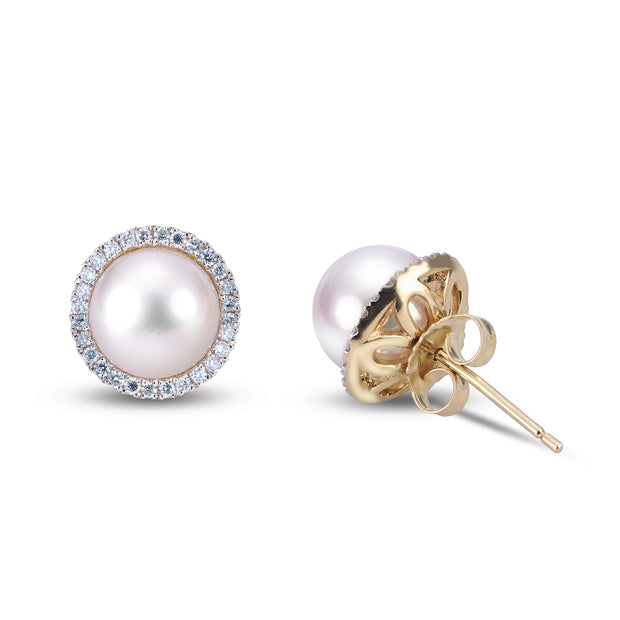 14KT Yellow Gold Akoya Pearl Earring