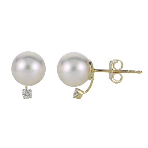 14KT Yellow Gold Akoya Pearl Earring