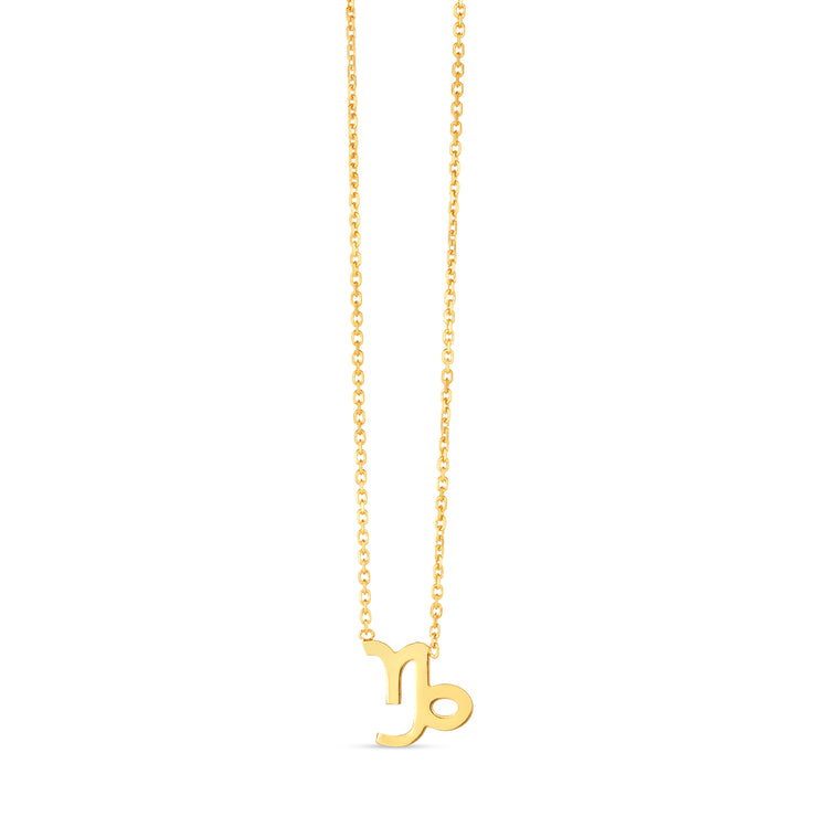 14K Gold Capricorn Necklace