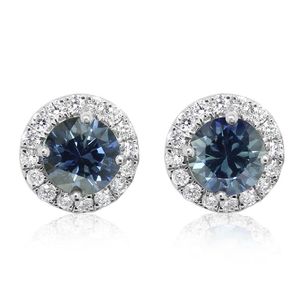 14K White Gold Montana Sapphire/Diamond Earrings