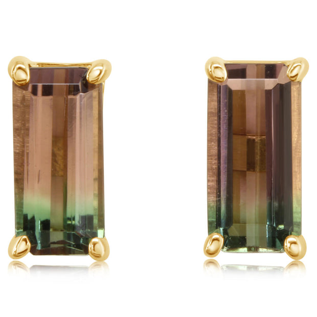 14K Yellow Gold Bi-Color Tourmaline Earrings