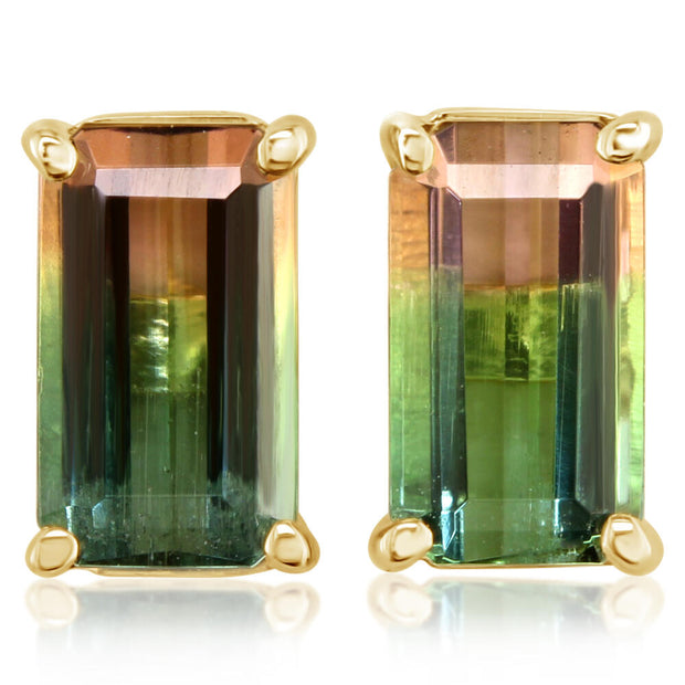 14K Yellow Gold Bi-Color Tourmaline Earrings