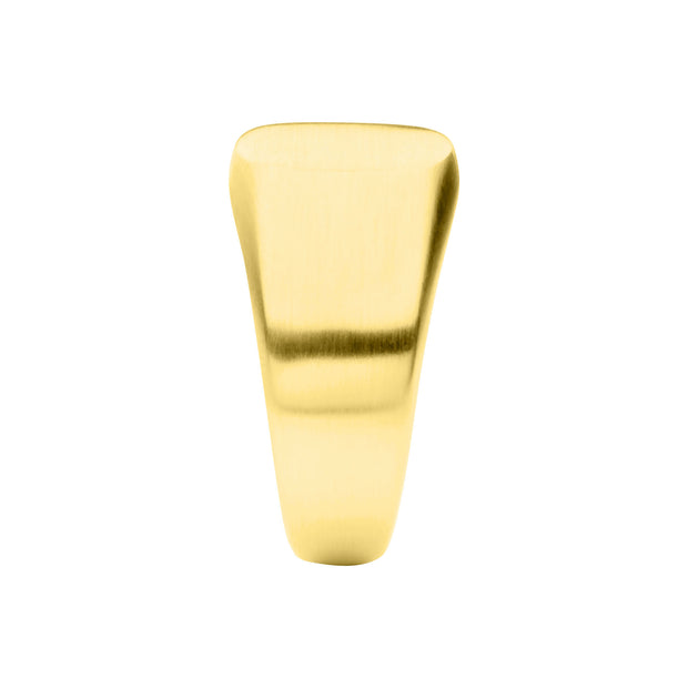 18Kt Gold IP Steel Signet Ring