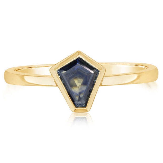 14K Yellow Gold Pentagon Cut Montana Sapphire Ring